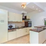 Four Bedroom With The Pool Drniš