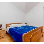 Prázdninový dům Four Bedroom With The Pool Drniš
