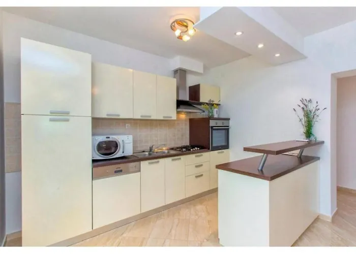 Four Bedroom With The Pool Drniš